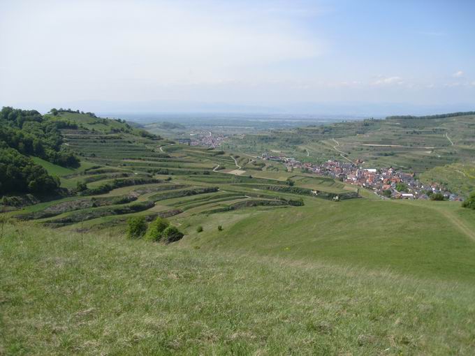 Oberbergen im Kaiserstuhl