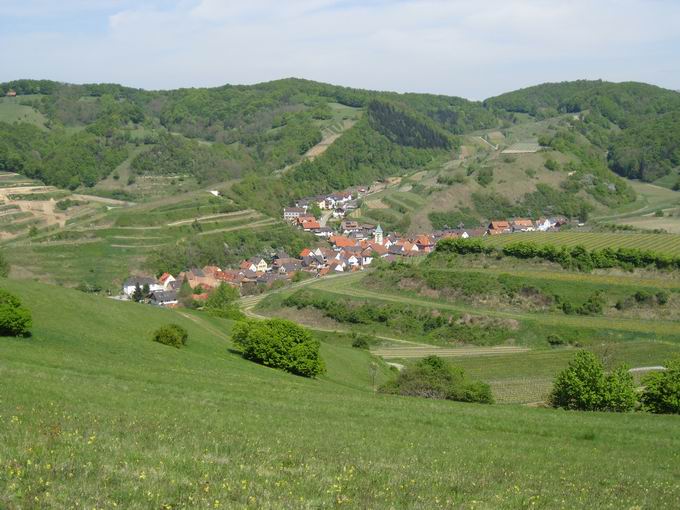 Schelingen im Kaiserstuhl