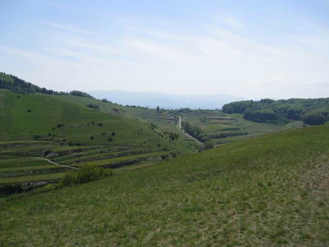 Badberg & Haselschacher Buck Kaiserstuhl