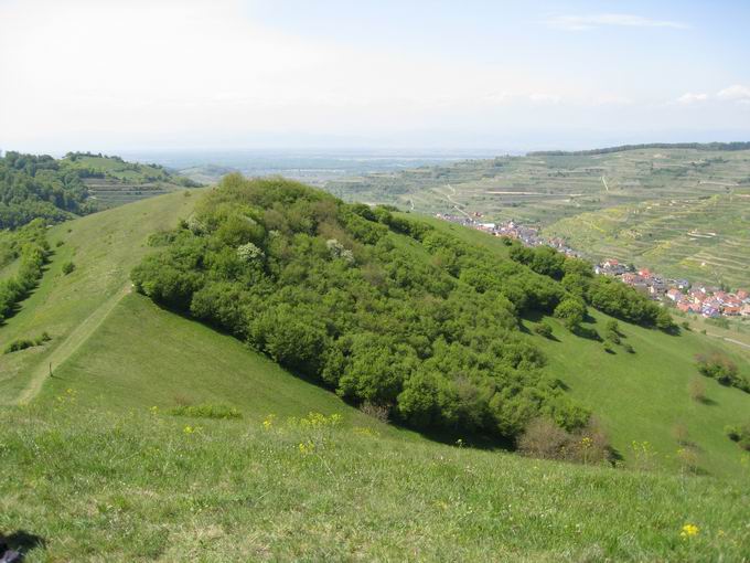 Oberbergen im Kaiserstuhl