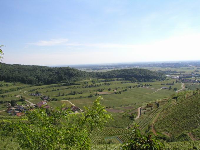 Achkarren am Kaiserstuhl