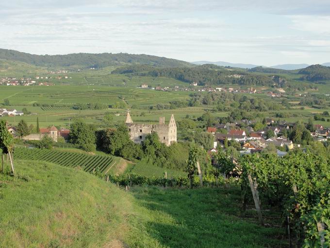 Burgberg Burkheim: Schloss Burkheim