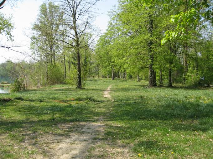 Liegewiese Burkheimer Baggersee