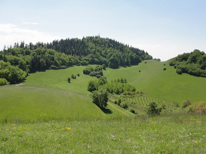 Schelingen im Kaiserstuhl