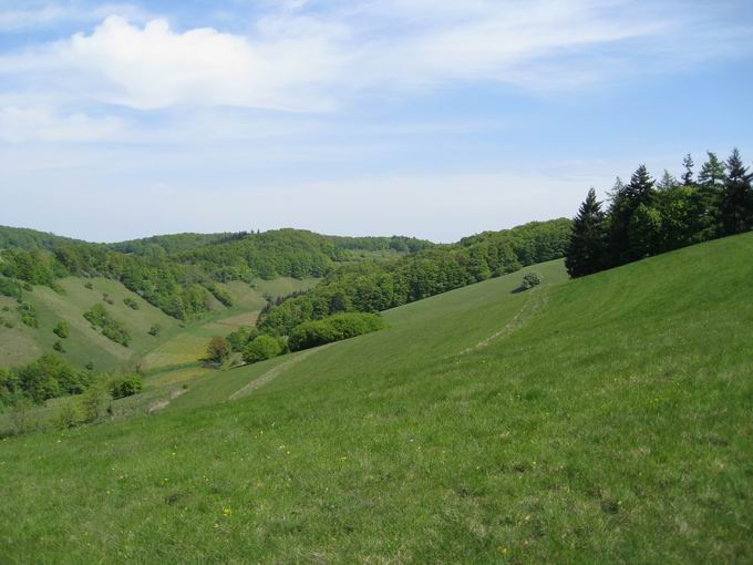 Degenmatten: Blick Eigental