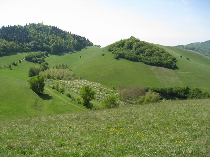 Degenmatten: Blick Oberes Eichstetter Tal