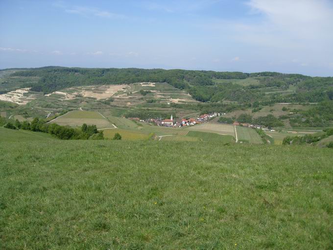 Degenmatten: Blick Schelingen