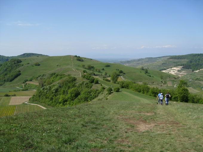 Degenmatten: Blick Schelinger Kreuz