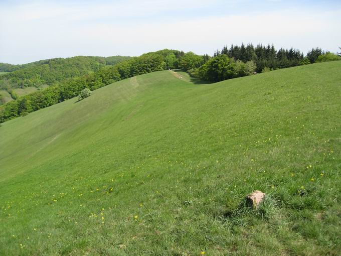 Schelingen im Kaiserstuhl