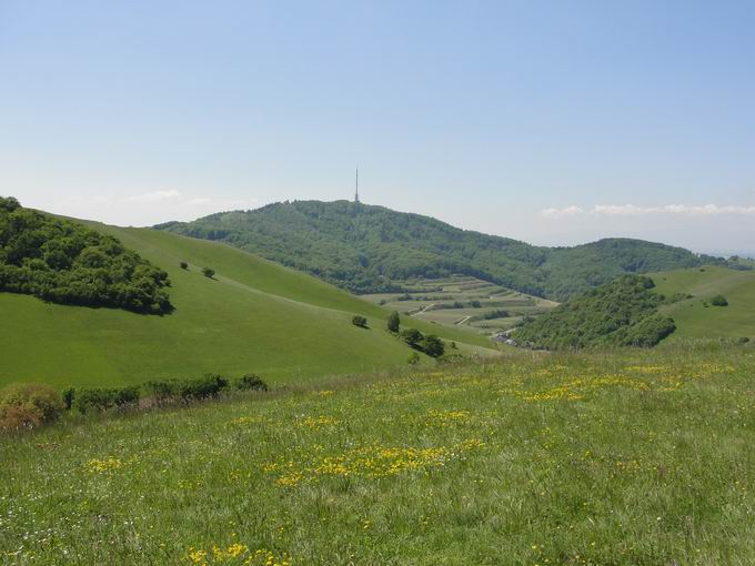 Degenmatten: Blick Totenkopf Kaiserstuhl