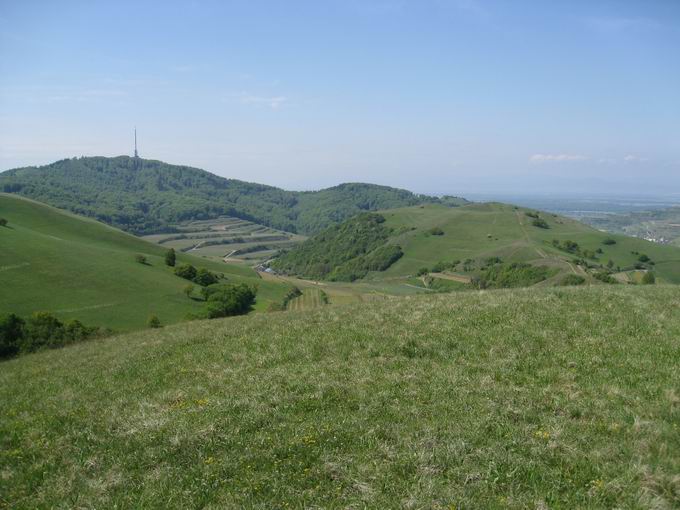 Badberg & Haselschacher Buck Kaiserstuhl