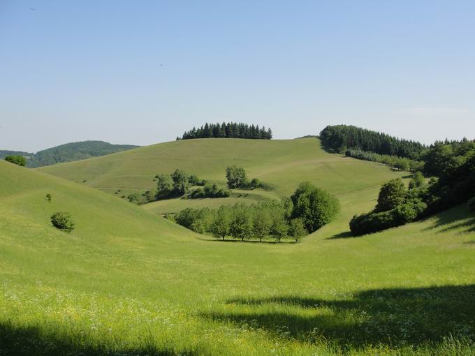 Schelingen im Kaiserstuhl