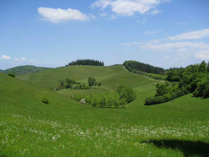 Kaiserstuhl