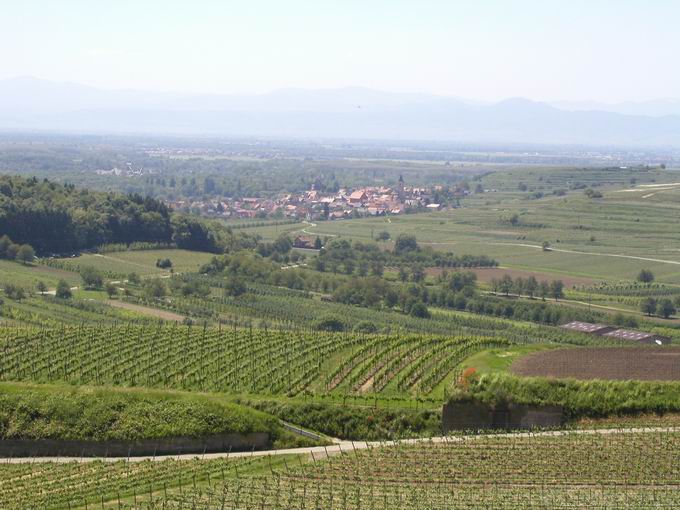 Httenberg Bischoffingen: Blick Burkheim