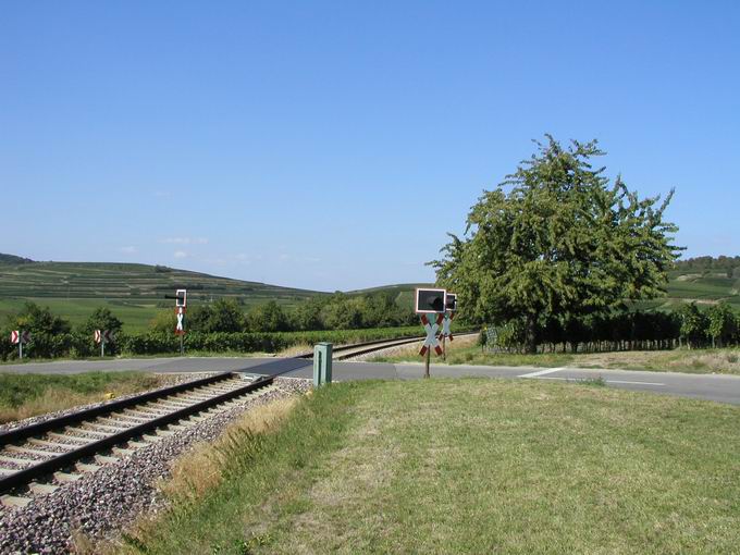 Oberrotweil im Kaiserstuhl