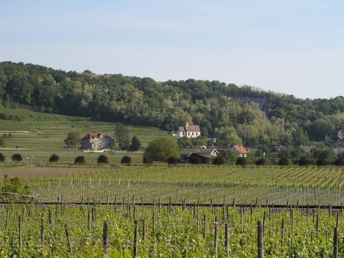 Oberrotweil im Kaiserstuhl