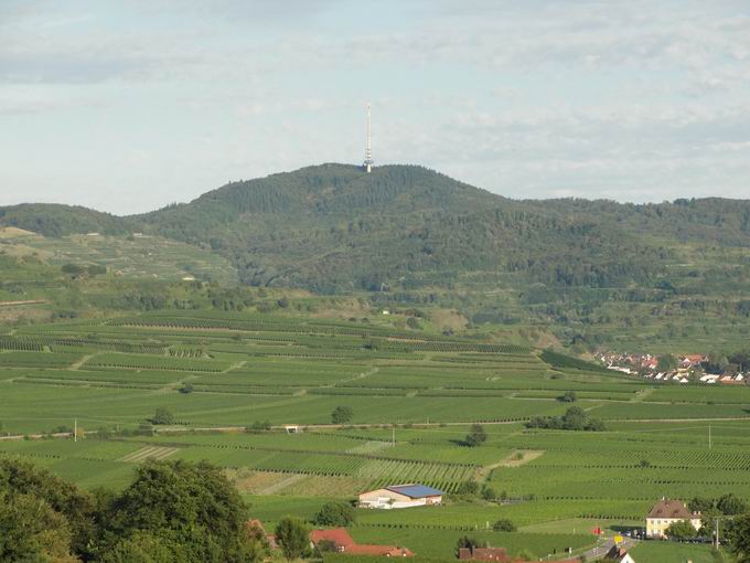 Kreidenberg Burkheim: Blick Totenkopf