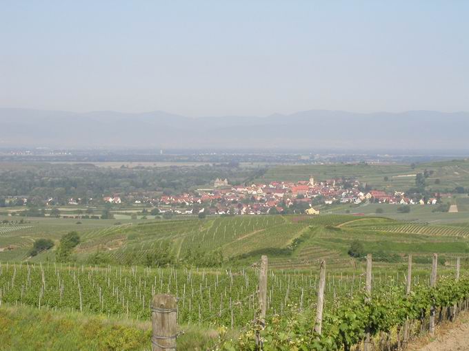 Oberbergen im Kaiserstuhl