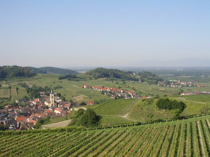 Oberbergen im Kaiserstuhl