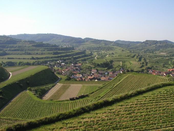 Oberrotweil im Kaiserstuhl