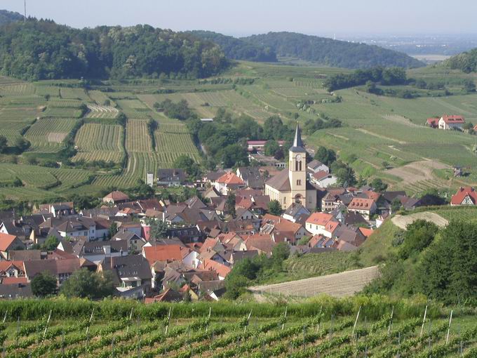 Mondhalde: Blick Oberrotweil