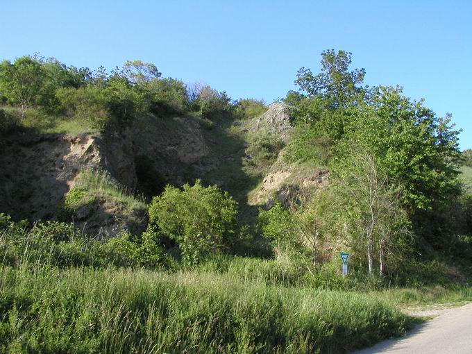 Naturschutzgebiet Ohrberg