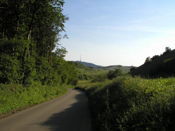 Naturschutzgebiet Ohrberg: Blick Totenkopf