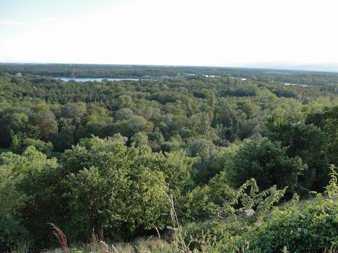 Naturschutzgebiet Rappennestgieen