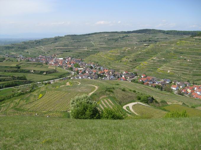 Oberbergen im Kaiserstuhl