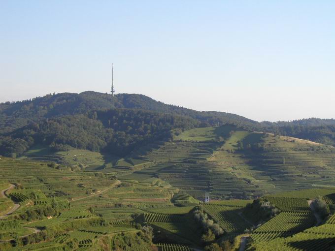 Oberbergen im Kaiserstuhl