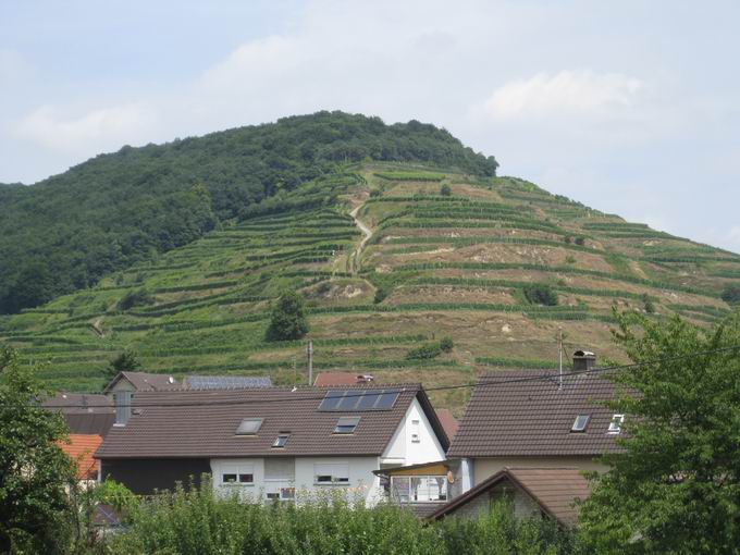 Oberbergen im Kaiserstuhl