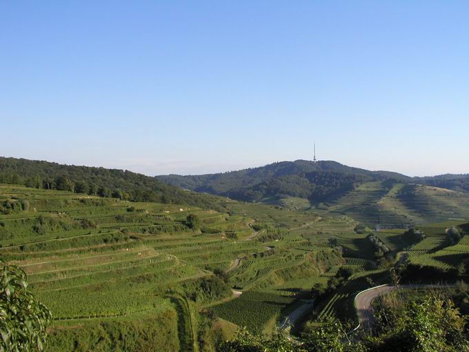 Oberbergen im Kaiserstuhl