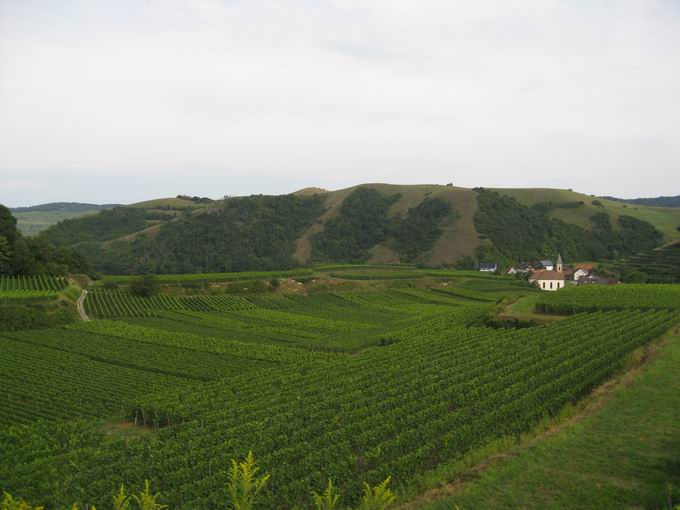 Oberes Herrental: Blick Badberg