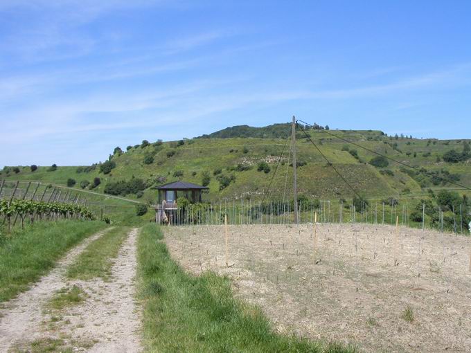 Oberrotweil im Kaiserstuhl