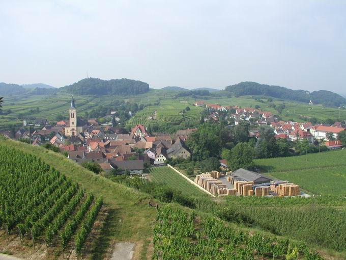 Oberrotweil im Kaiserstuhl