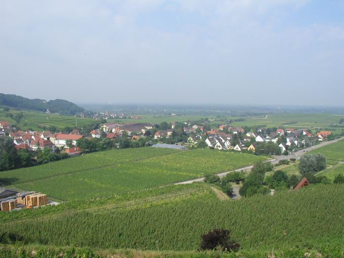 Oberrotweil im Kaiserstuhl