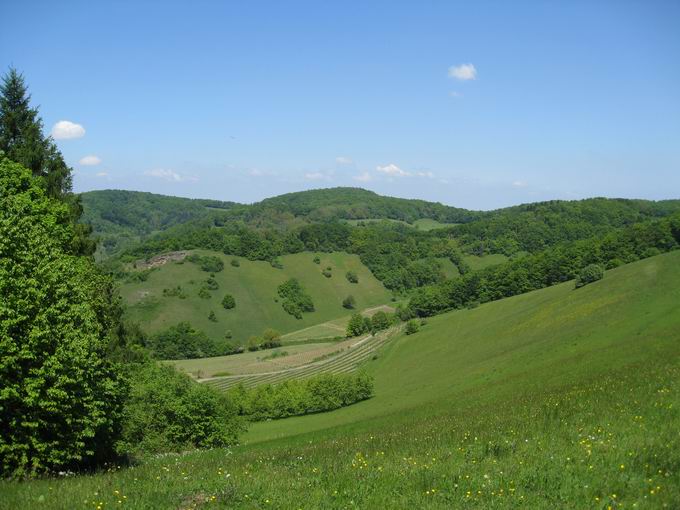 Schelingen im Kaiserstuhl