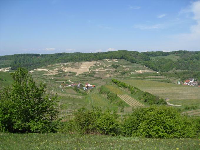 Schelingen im Kaiserstuhl