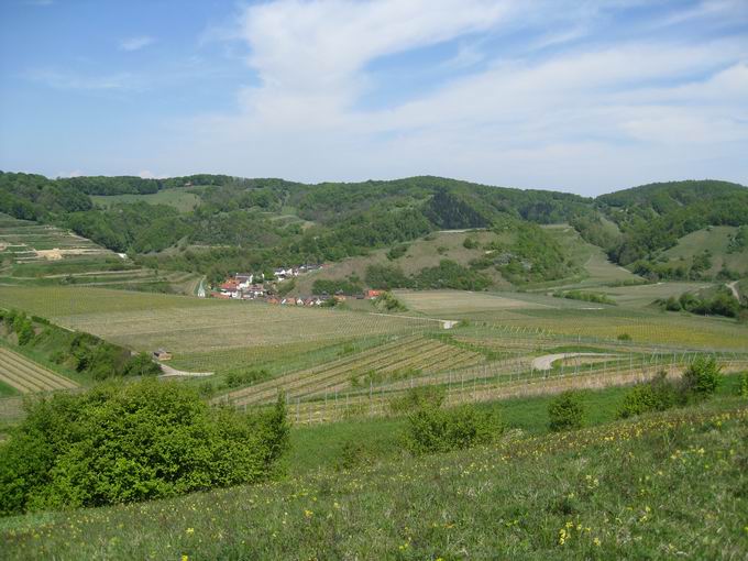 Schelingen im Kaiserstuhl