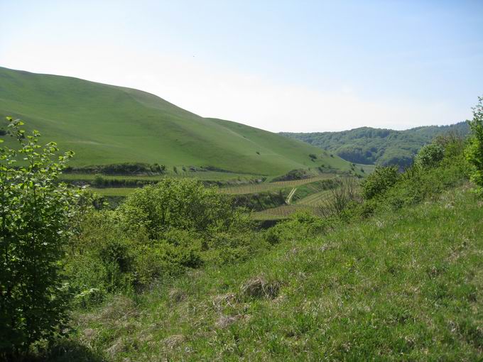 Schelinger Kreuz: Schlossberg Altvogtsburg