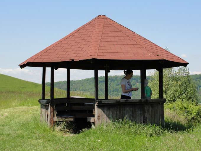 Schelingen im Kaiserstuhl