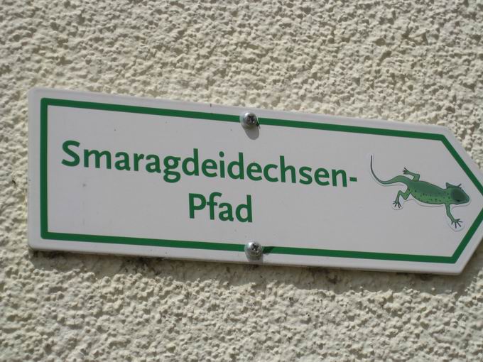 Smaragdeidechsenpfad