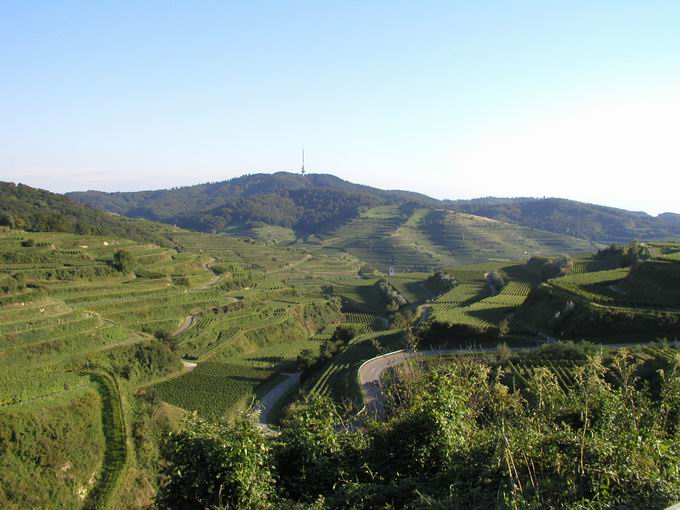 Oberbergen im Kaiserstuhl