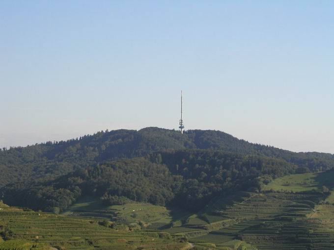 Totenkopf (Kaiserstuhl)