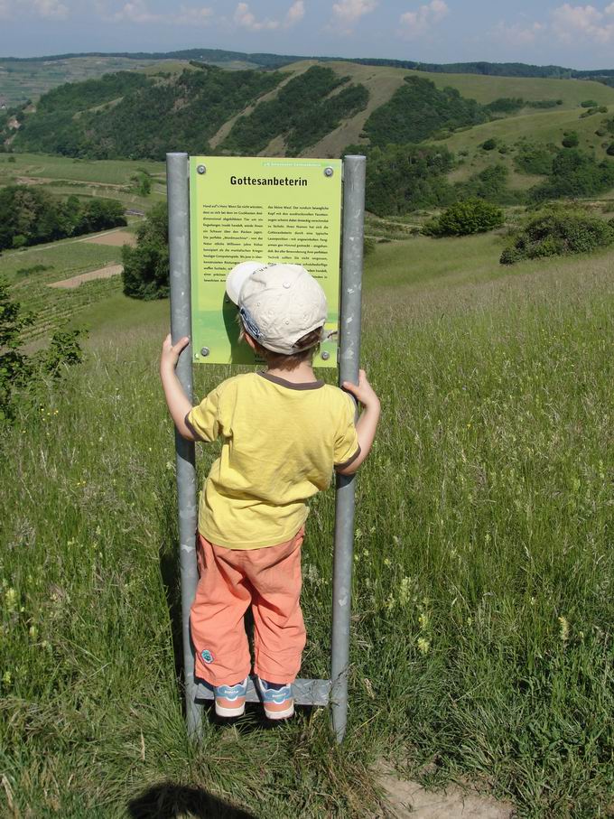 Badberg & Haselschacher Buck Kaiserstuhl