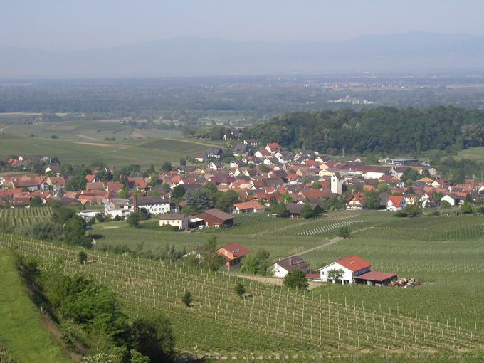 Waldsberg Bischoffingen: Blick Bischoffingen