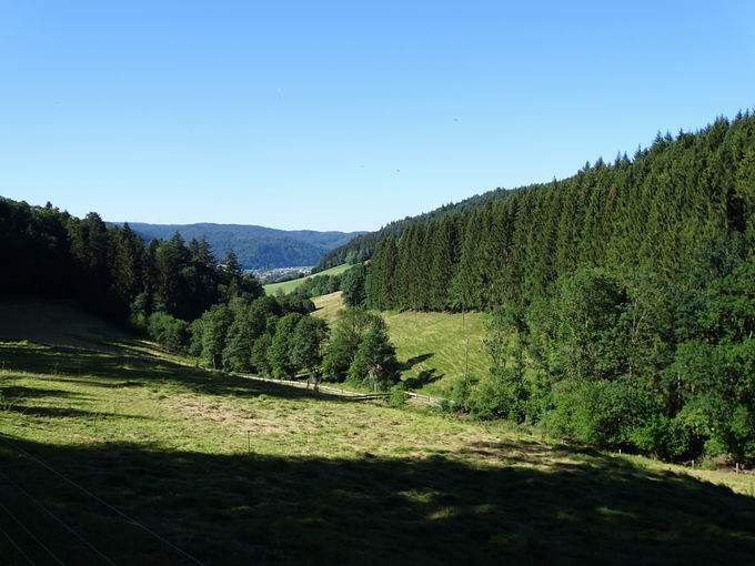 Elztal im Schwarzwald