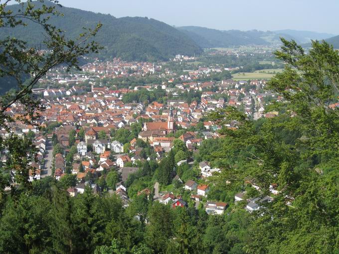 Baumkronenweg Waldkirch: Waldkirch