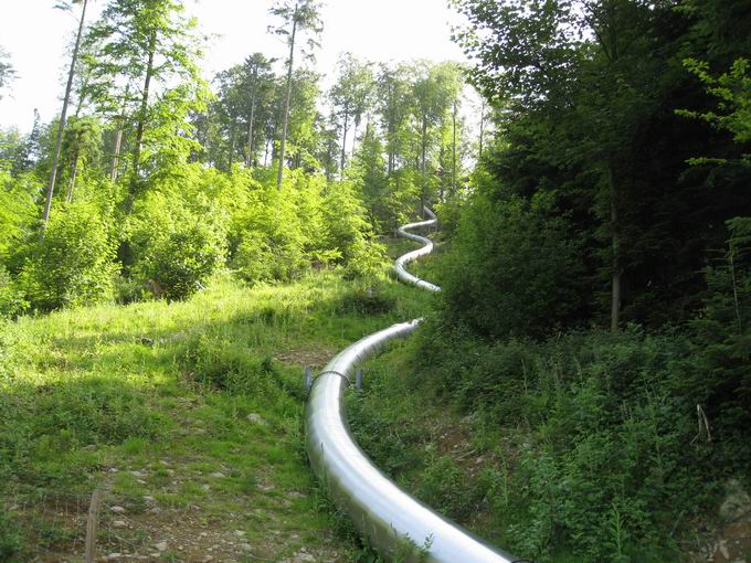 Waldkirch im Elztal