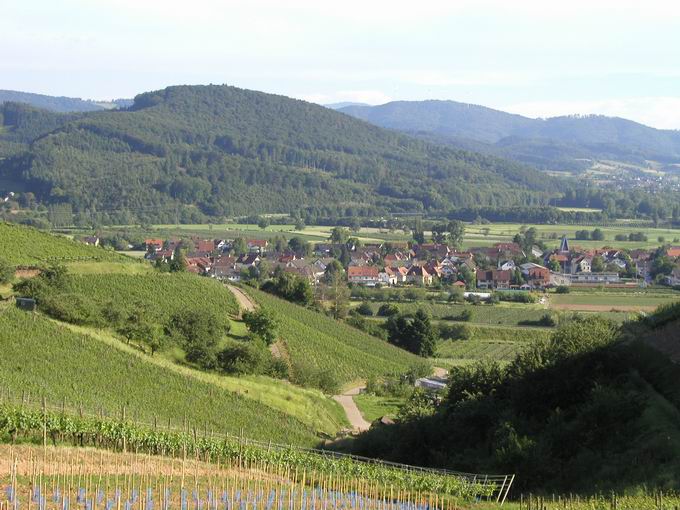 Waldkirch im Elztal